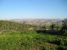 hills near moshav aderet